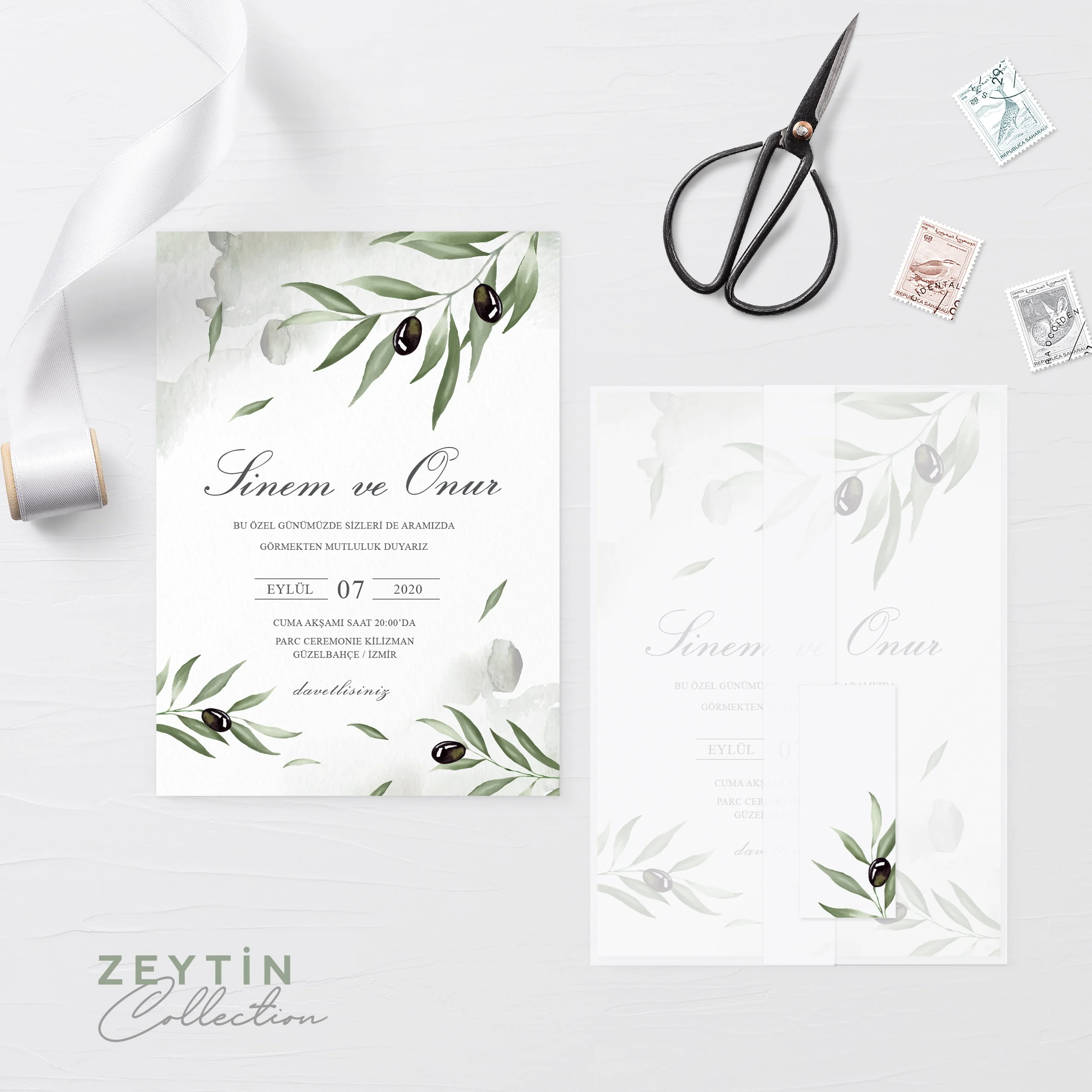 Zeytin Collection - Görsel 2